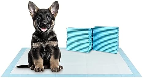 BV XXL Puppy Pads 20 Count 36" x 30" - Leak-Proof Pee Pads for Dogs with 6-Layer Design, Rapid Dry Sheet & Attractant - Dog Pad Extra Large with Odor Control - Perfect for Big Dogs & Indoor Use by BV