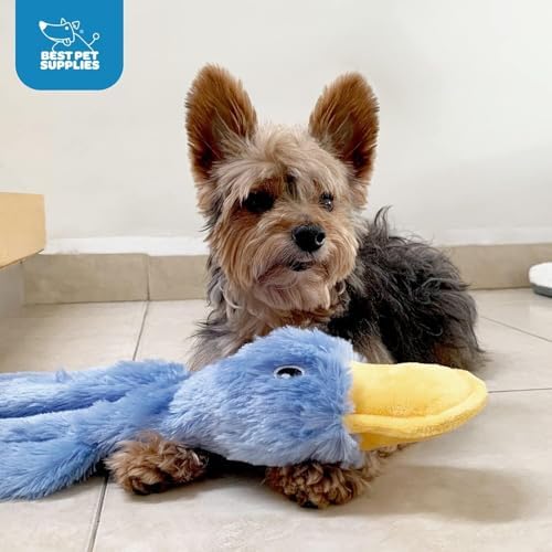 Best Pet Supplies 2-in-1 Stuffless Squeaky Dog Toy - 2 Crinkle Ducks, Large - Image 5