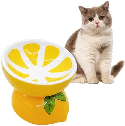 Elevated Cat Bowl Ceramic Raised Cat Food Water Bowls for Indoor Kitten by Hamiledyi