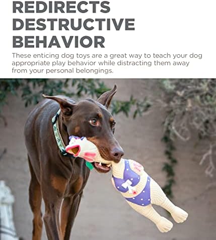Outward Hound by Charming Pet Squawkers Henrietta Latex Squeaky Rubber Chicken Dog Toy, Funny Interactive Holiday Toy for Dogs, Small Size - Image 4