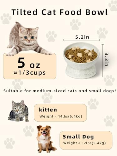 Ceramic Cat Food Bowl, 15° Tilted Raised Cat Food Bowl 5 oz (Vintage White) - Image 2