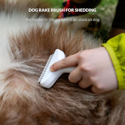 One Press Self Cleaning Dog Brush for Shedding Undercoat Deshedding Rake - Image 4