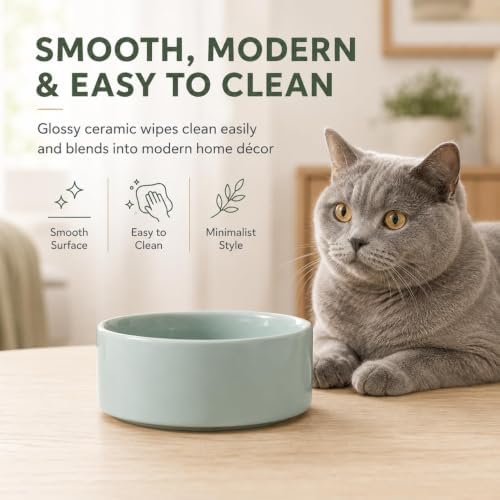 Havniva Cat Bowls Set of Two, 5.1” Ceramic Cat Food Bowls, Cat Water Bowl - Image 3