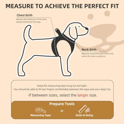 PUPTECK Dog Harness, Collar and Leash Set No Pull for Small Medium Sized - Image 2