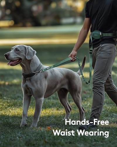 MIDOG Multifunctional Dog Leash Hands Free for Large Dogs - Adjustable Waist Leash with Zipper Pounch& Bungee Cord for Jogging/Running/Walking(4-7FT,Green) - Image 2