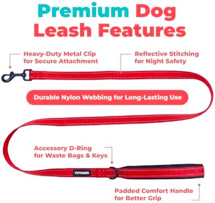 Best Pet Supplies Voyager Nylon Dog Leash - Red, Medium - Image 2