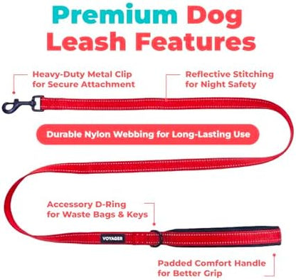 Best Pet Supplies Voyager Nylon Dog Leash - Red, Medium - Image 2