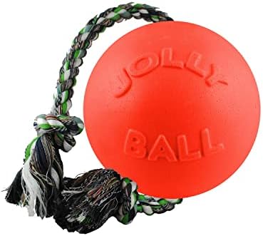 Jolly Pets Romp-n-Roll Dog Toy, Orange, 6", Model Number: 788169060645 by JollyPets