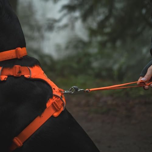 Ruffwear, Front Range Dog Leash, 5 ft Lead, Blaze Orange - Image 4
