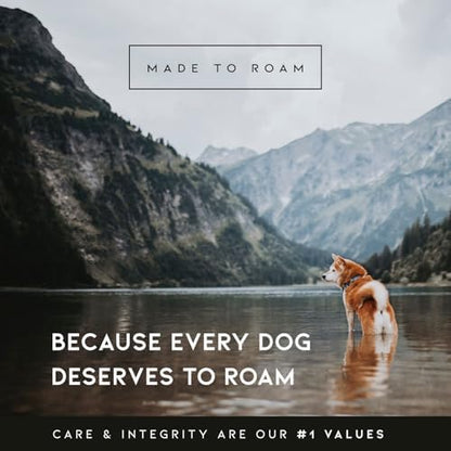 MADE TO ROAM Premium Explorer Leash - Climbing Rope Leash with Autolocking Aviation Aluminum Carabiner - Vermont Weekends, 6ft - Image 6