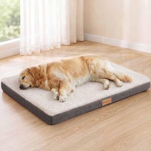 Patas Lague Orthopedic Large Dog Bed Washable Pet Sofa Mat 42''X28'' Ivory by PatasLague
