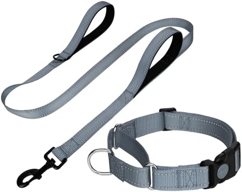 FunTags Martingale Dog Collar and Leash Set for Puppy Dogs, Locking Buckle by FUNSTARTSHERE