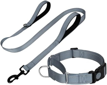 FunTags Martingale Dog Collar and Leash Set for Puppy Dogs, Locking Buckle by FUNSTARTSHERE