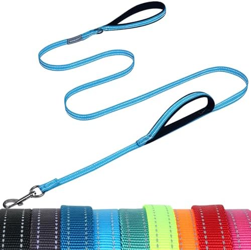 VIVAGLORY Double Handle Dog Leash Twingrip, 6ft x 1/2in, Blue by VIVAGLORY