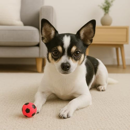 SPOT Latex Soccer Ball Dog Toy – 2in, Assorted Colors, Durable 100% Latex with Loud Squeaker, Fun Indoor & Outdoor Toy for Small Dogs & Puppies to Chase, Fetch, Chew & Play - Image 5