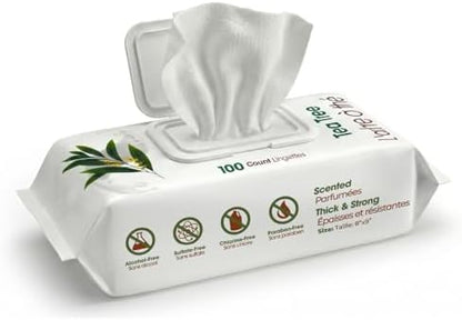 Best Pet Supplies Cleaning Dog Wipes - Cleansing Tea Tree, 100 Count by BestPetSuppliesLLC