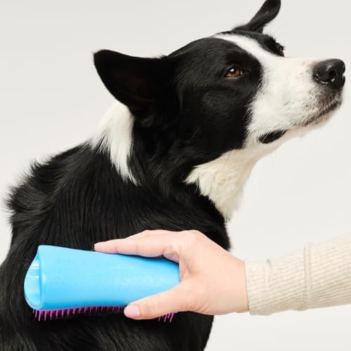 Pet Teezer De-Shedding Dog Brush for Long Hair Breeds, Large, Blue & Pink - Image 3