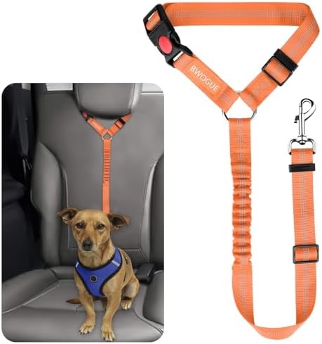 BWOGUE Dog Seat Belt for Car, Headrest Restraint Bungee Lead, Orange by BWOGUEPetHome