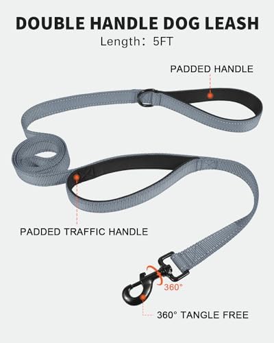 FunTags Martingale Dog Collar and Leash Set for Medium Dogs, Locking Buckle - Image 4
