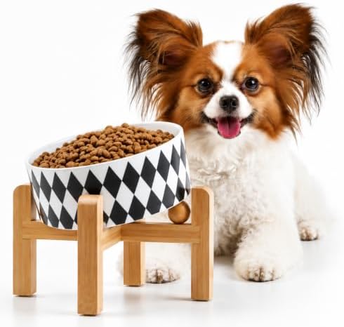 Petygooing Raised/Elevated 15°Slanted Ceramic Dog Bowl for Small Breeds,Tilted Anti Slip Pet Bowl,Food Water Dish with Stand for Cats and Small Dogs Puppy 13.5 OZ (5.1In / 1.7 Cups) Black Rhombus by PetygooingforYOURLOVEDPET
