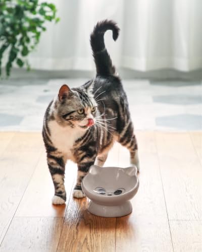 Raised Cat Food Bowl Ceramic 15° Tilted Cat Food Bowls Protect Cat's Spine Anti Vomiting Backflow Prevention Bowls for Adult Kitty, Kitten, and Small Dogs, Grey - Image 4