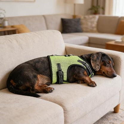 Mini Dachshund Harness – No Armpit Rub, Escape Proof, Reflective, No Pull Vest-Style Dachshunds Harness,Breathable Mesh Dog Harness (Fluorescent Green, M: Chest 42-52cm (16.5"-20.5")) - Image 6