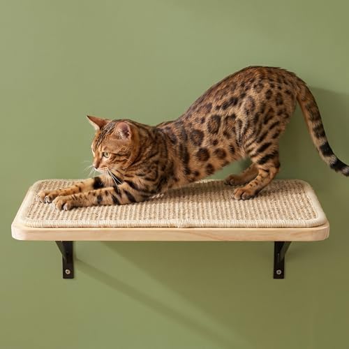 Cat Wall Shelves Stairs Cat Wall Furniture Mounted, 2PCS Shelves & 2PCS 4 Steps Climbing Shelf Scratching Perches for Sleeping, Playing, Climbing - Image 5