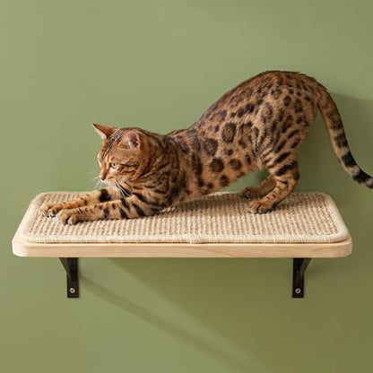 Cat Wall Shelves Stairs Cat Wall Furniture Mounted, 2PCS Shelves & 2PCS 4 Steps Climbing Shelf Scratching Perches for Sleeping, Playing, Climbing - Image 5