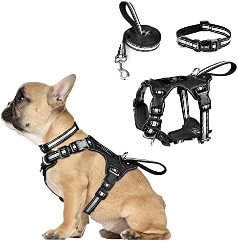 WINSEE Pet Harness Collar and Leash Set, All-in-one Reflective Dog Harness No Pull with Adjustable Buckles for Puppies, Small, Medium, Large, and Extra-Large Dogs (Small, Black) by WINSEE