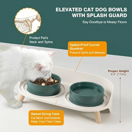 Raised Cat Food and Water Bowl Set - Elevated Ceramic Dishes with Non-Slip Stand and Splash Guard for Small Dogs - 2 x 320 ML (4.9 OZ) - Green - Image 3