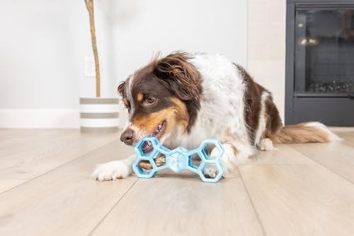 Chuckit! Holee Roller Dog Treat Puzzle Bone, Large, Blue – Interactive Treat & Chew Puzzle Toy for Dogs 60–100 lb – Durable Rubber Bone‑Shaped Fetch Toy for Mental Stimulation – Pack of 1 - Image 3