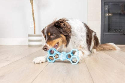 Chuckit! Holee Roller Dog Treat Puzzle Bone, Large, Blue – Interactive Treat & Chew Puzzle Toy for Dogs 60–100 lb – Durable Rubber Bone‑Shaped Fetch Toy for Mental Stimulation – Pack of 1 - Image 3