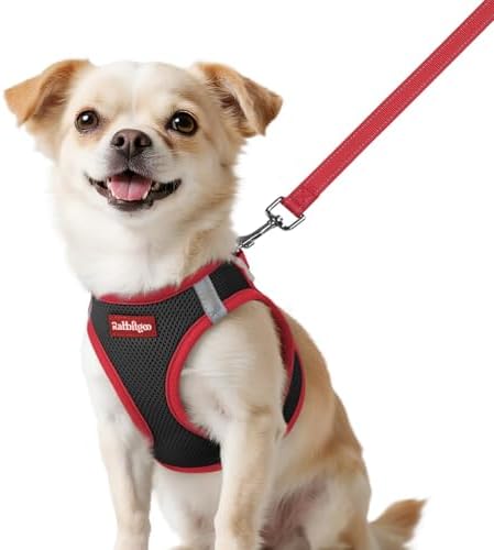 rabbitgoo Dog Harness Small Sized and Leash Set, Step in Soft Vest by rabbitgoo