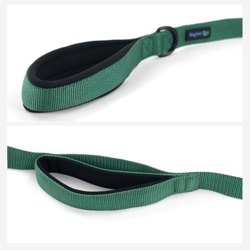 Wagtime Club Heavy Duty Double Handle Dog Leash for Large Medium Small Dogs - Image 7