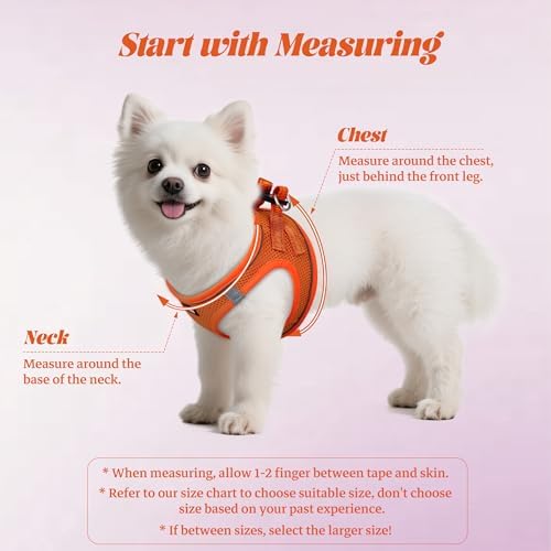 No Pull Dog Puppy Harness and Leash Set Reflective Mesh Vest Small - Image 2