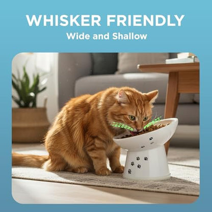 Necoichi Ceramic Elevated Cat Food Bowl, 15° Tilted (Cat, Regular Tilted) - Image 2