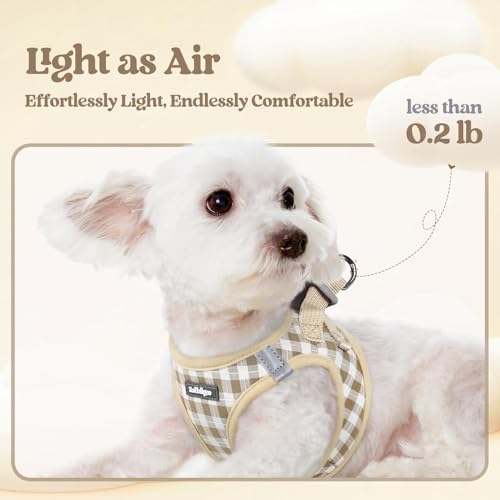 rabbitgoo Dog Harness Medium Sized and Leash Set, Step-in Puppy Pet Vest - Image 3