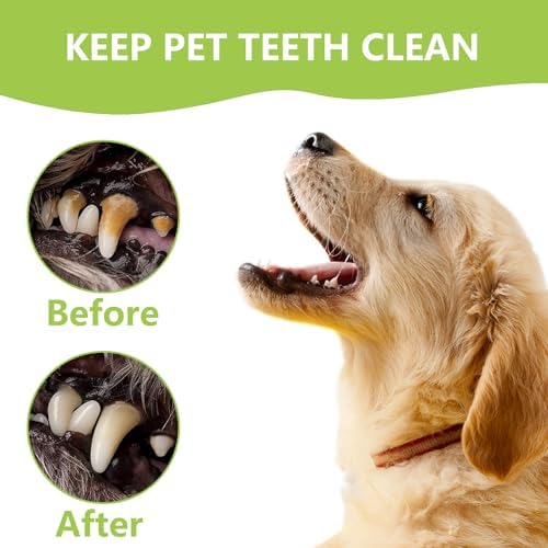 8 Pcs Dental Tools Pet Dog Teeth Cleaning Tool Kit, Stainless Steel Dental Picks Mouth Mirror Tooth Scraper Plaque Tartar Remover, Pets Oral Care Hygiene Set for Dogs and Cats Use with Case - Image 2