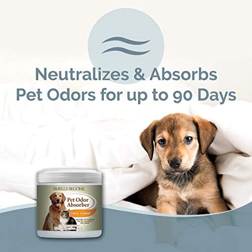 SMELLS BEGONE 15oz Gel Pet Odor Eliminator - Absorb & Remove Strong Odors from Pets, Cat Litter, Dog Poop, Urine Smells - Eliminate Whole Home Odors with Essential Oils (2-Pack, Pet Citrus) - Image 2