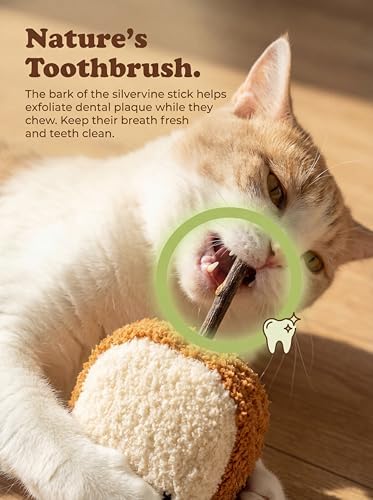 Cat Plush Toy [6000mg A+ Natural Catnip & Silvervine] with Teething Stick - Image 2