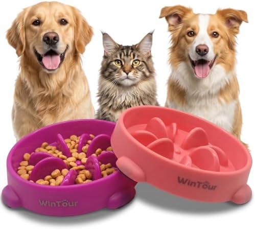 WinTour 2 Pack Slow Feeder Dog Bowls, BPA Free, Medium & Small Dog Bowls by WinTourDogToys