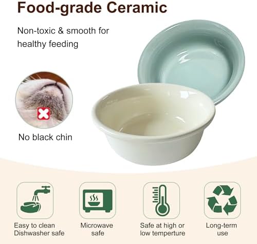 Elevated Cat Bowl, 12 Ounce Ceramic Raised Cat Bowl for Dry and Wet Food, 2 Dishs with Adjustable Wood Stand, for Indoor Kitten, Cats and Puppy, Dishwasher Safe (Cream+Green - Image 4