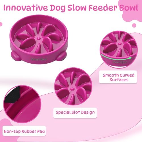 WinTour Slow Feeder Dog Bowls for Small Medium Pets, Round PP Dish, 1 Pack - Image 6