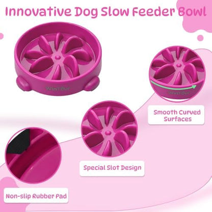WinTour Slow Feeder Dog Bowls for Small Medium Pets, Round PP Dish, 1 Pack - Image 6