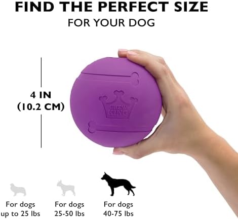 Chew King Fetch Balls Extremely Durable Natural Rubber Toy 4 inch, 2 Pack (CM-10031-CS01) - Image 4