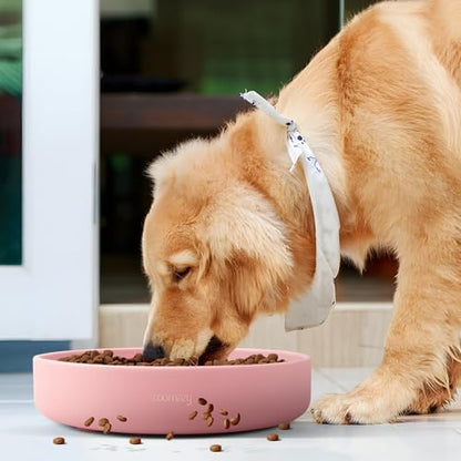 Coomazy Extra Large Slow Feeder Bowl, Silicone Dog Bowl with Suction Cups - Image 7