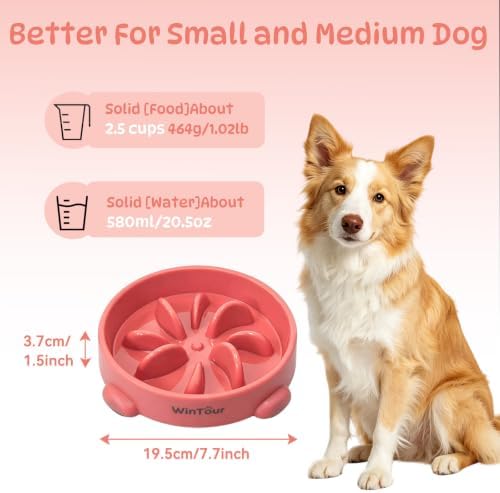 WinTour Slow Feeder Dog Bowls for Small Medium Pets, Round PP Dish, 1 Pack - Image 3