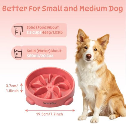 WinTour Slow Feeder Dog Bowls for Small Medium Pets, Round PP Dish, 1 Pack - Image 3