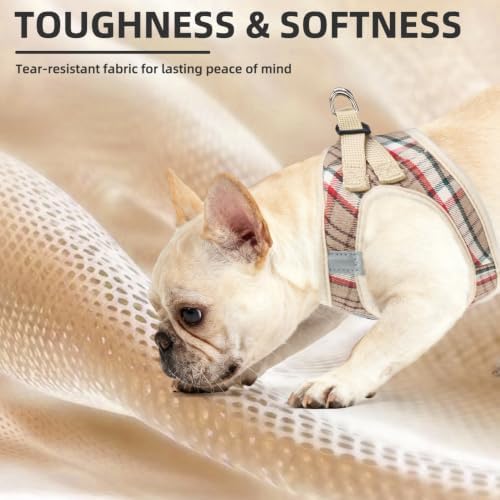 PUPTECK Dog Harness, Collar and Leash Set No Pull for Small Medium Sized - Image 6