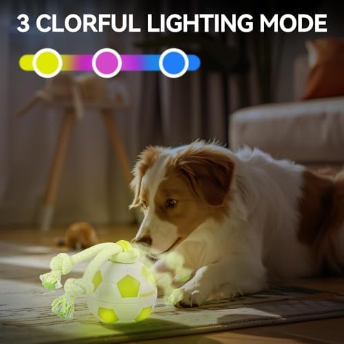 ALL FOR PAWS Interactive Dog Toys, Smart Dog Ball with Durable Rope, Automatic Moving and Rolling Ball Toys for Small Medium Large Dogs, Motion-Activated and USB Rechargeable - Image 6